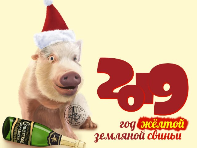 Как встретить 2019 год?